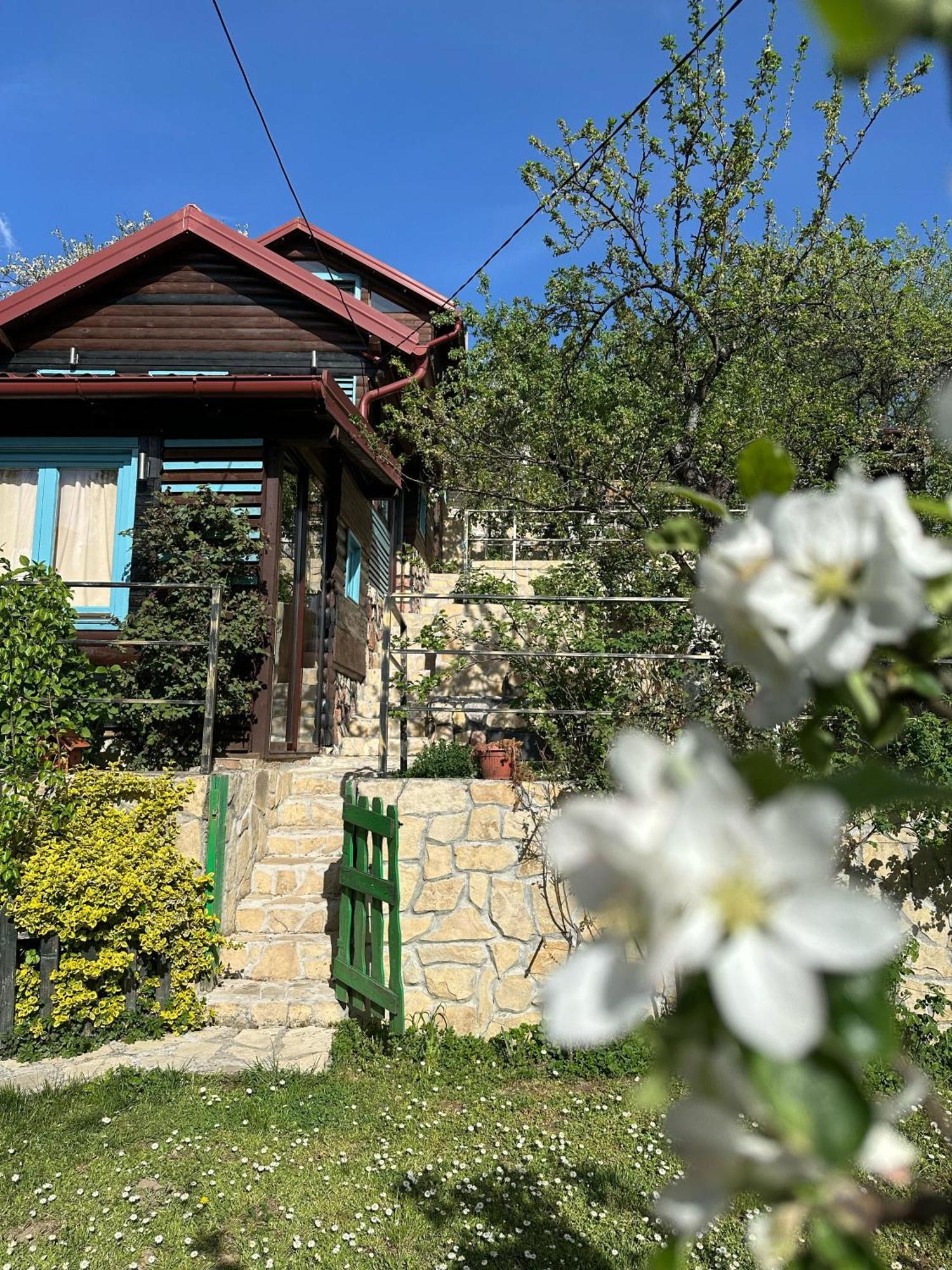 The Bungalows Сараєво Екстер'єр фото